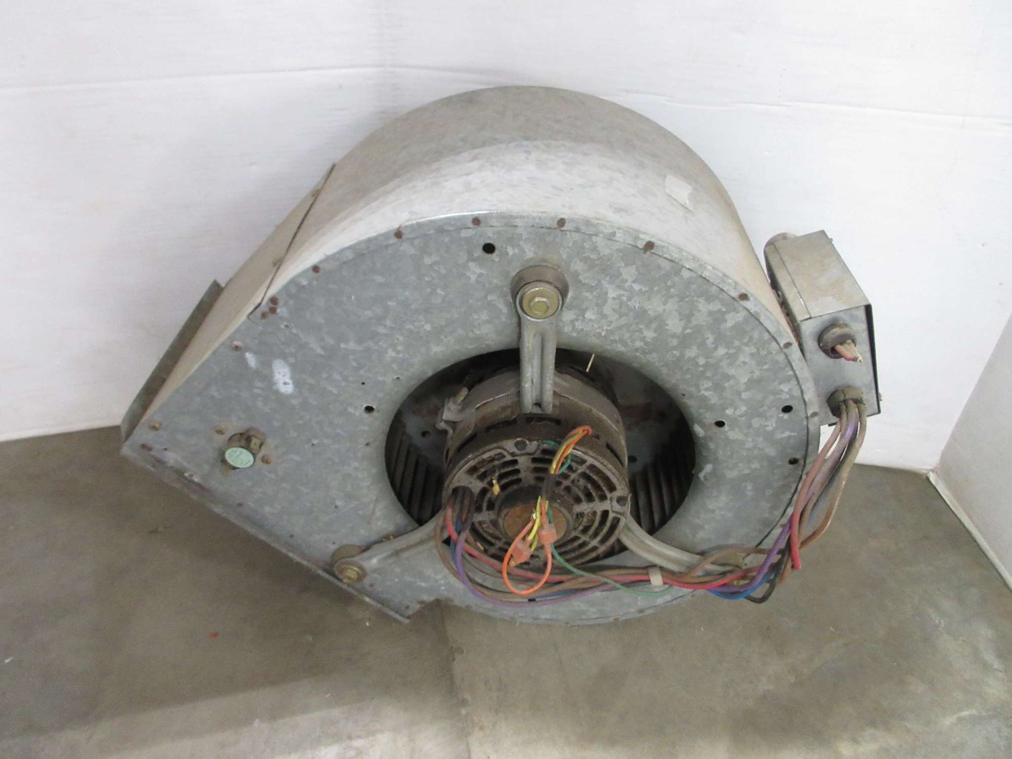 Albrecht Auctions Squirrel Cage Fan