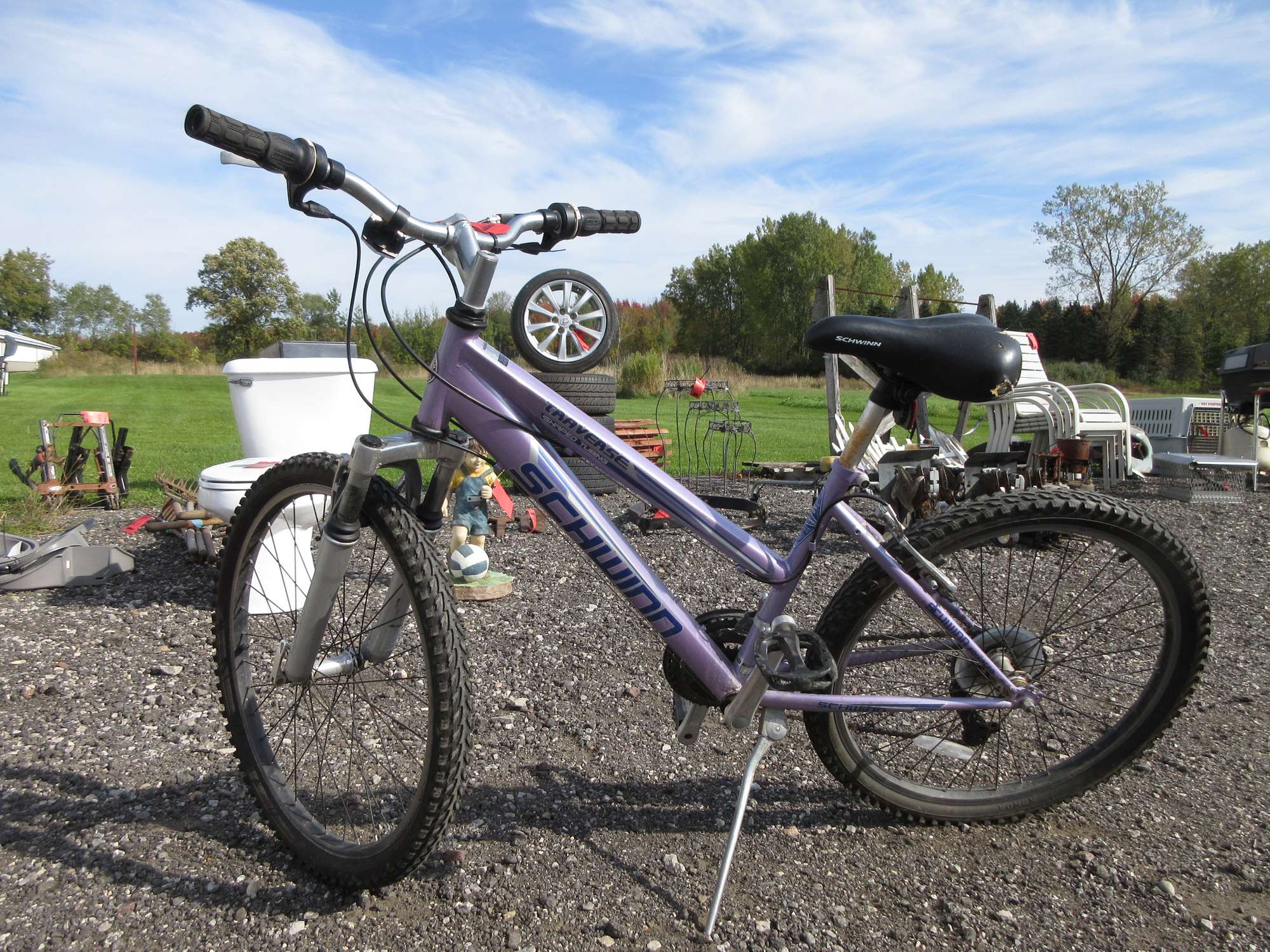 schwinn traverse