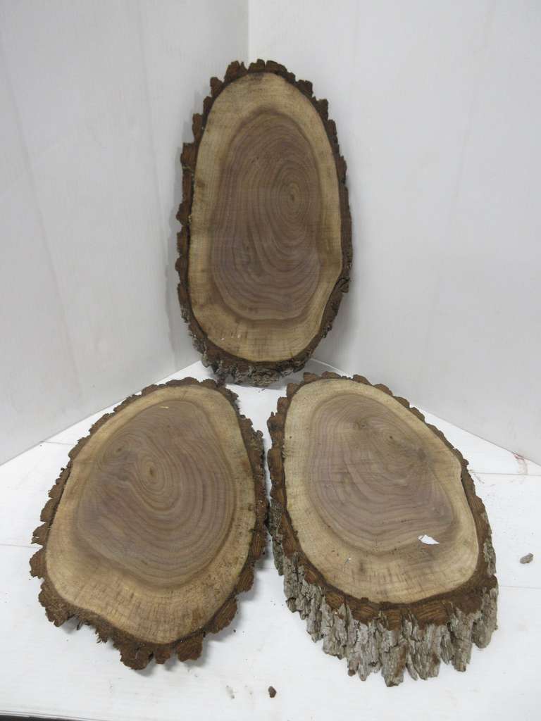 (3) Walnut Slices, Live Edge, Rough Sawn