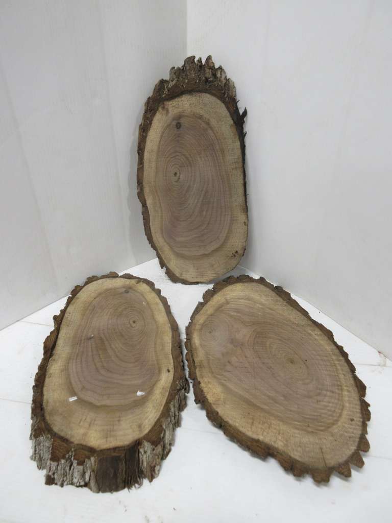 (3) Walnut Slices, Live Edge, Rough Sawn