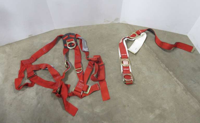 Fall Protection Harness