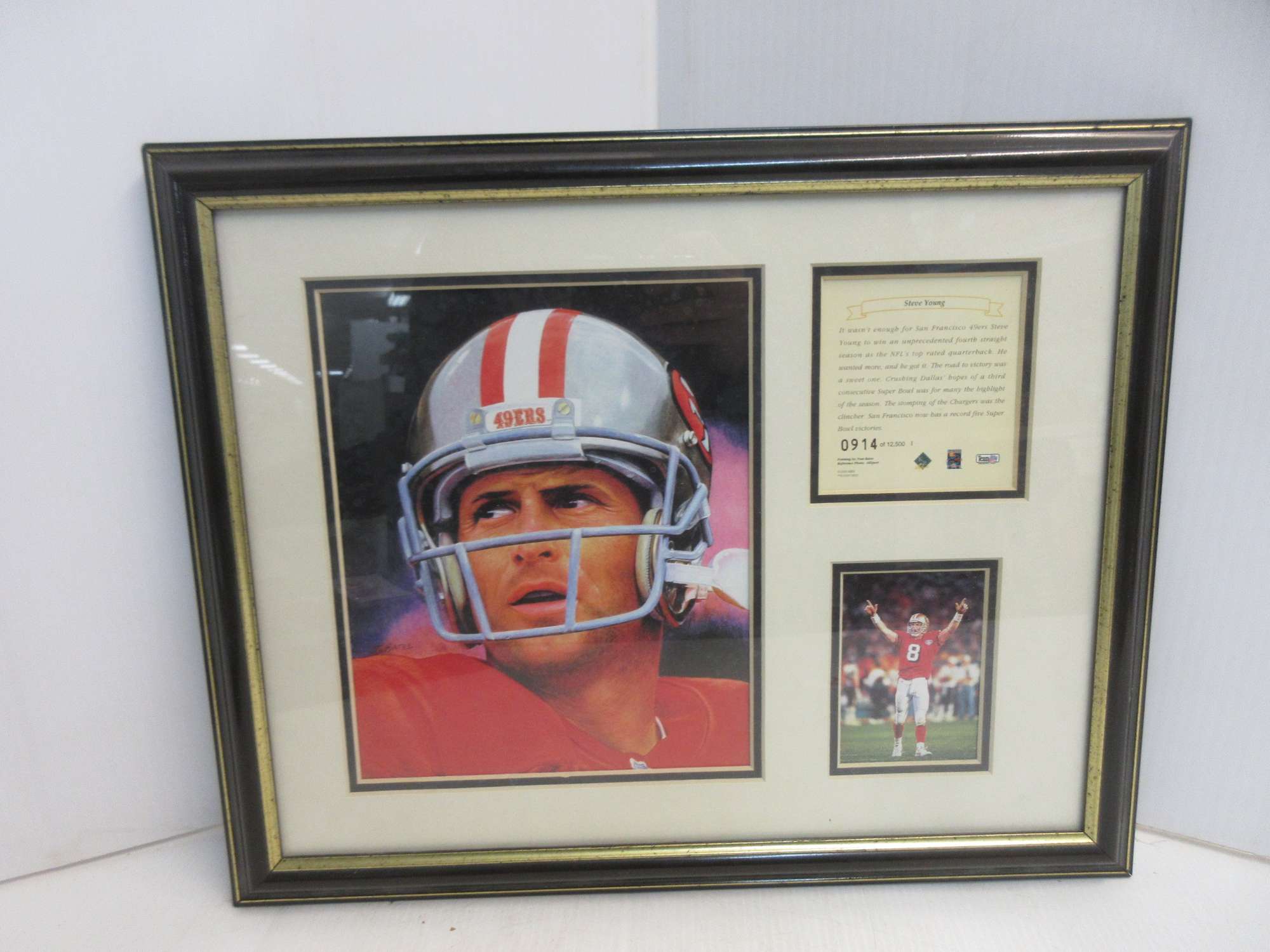 Albrecht Auctions Steve Young Plaque No 0914 12500