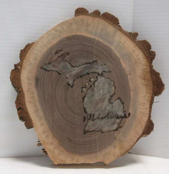 Michigan Made Painted/Burned Michigan Picture, Local Artist