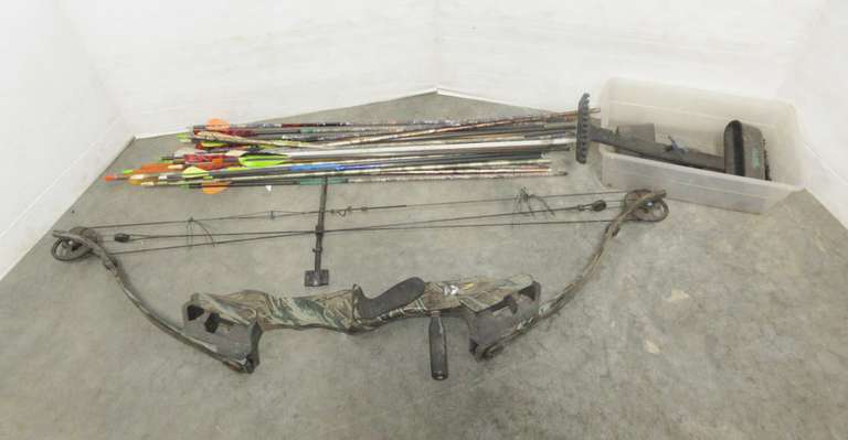 Golden Eagle Formula 3D Bow with Arrows and Small Box of Extra Parts