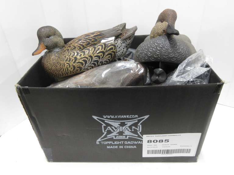 Duck Decoys, Avian X Brand, Top Flight Gadwall: (4) Drake and (2) Hen