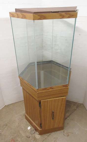 40-Gallon Hexagon Shaped Fish Tank with Base and Top Cover