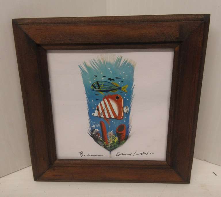 Tropical Fish Hand Painted on a Feather, Framed, Signed by Artist, Purchased from Art Gallery in Mexico