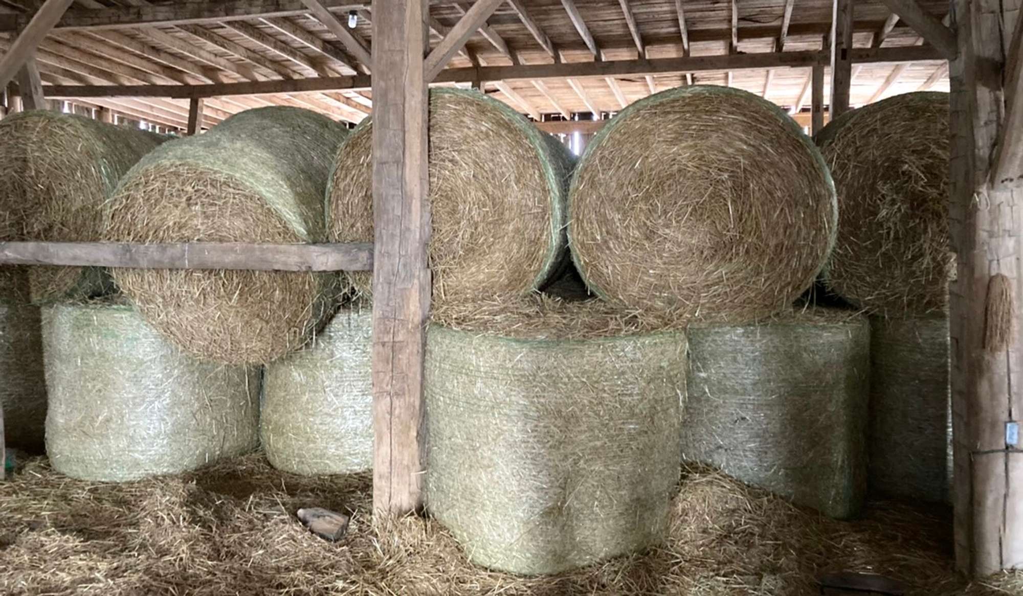 Albrecht Auctions | (25)-Round Bales of Straw, Feed Grade, 4x5, Housed
