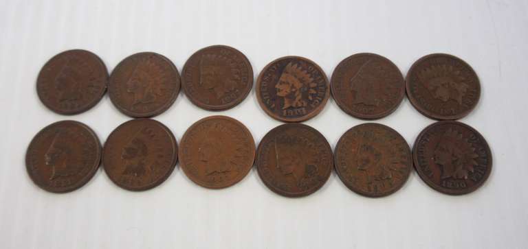 (12) Indian Head Cents, 1890 to 1907