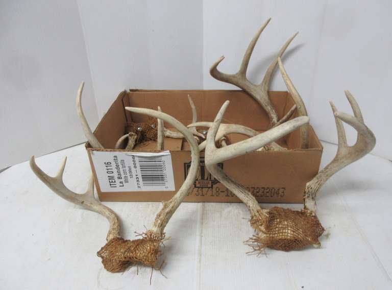 (7) Sets of Deer Antlers