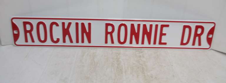 Metal Heavy Duty Sign, "Rockin Ronnie Dr."