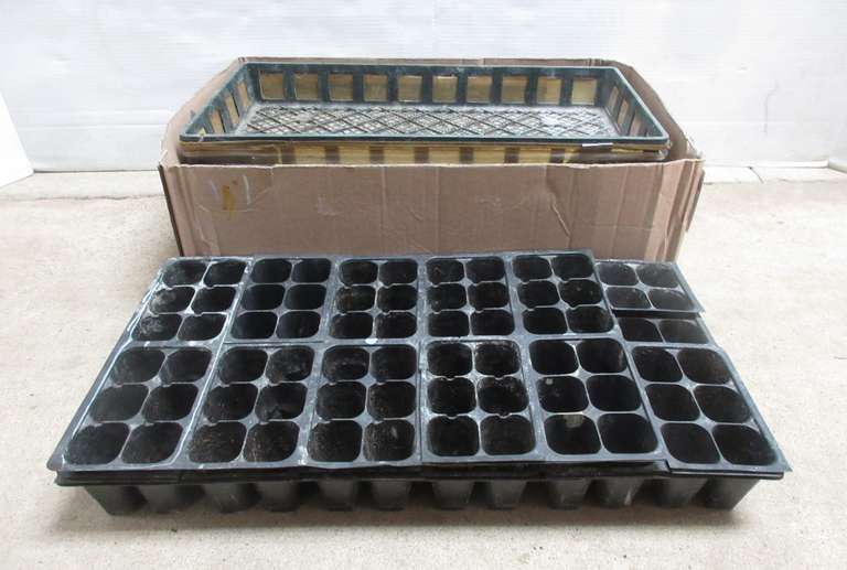 Seed Started Boxes and Some Tops