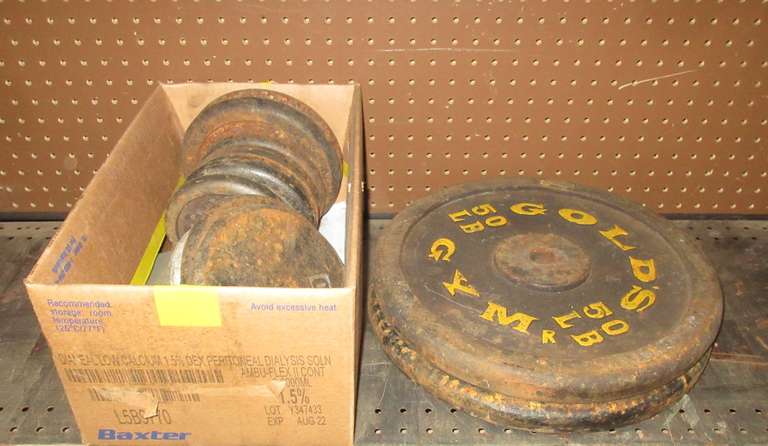 (2) Gold Gym 50 lb. Weight Plates, and Various 10, 5, and 2 1/2 lb. Weight Plates, Fit 1"Dia Bars