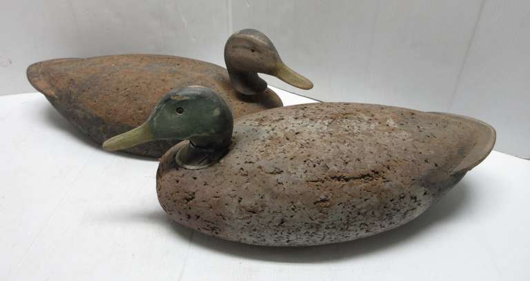 Pair of Older Wood Oversized Duck Decoys with Glass Eyes