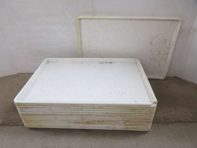 (16) Commercial Plastic Trays