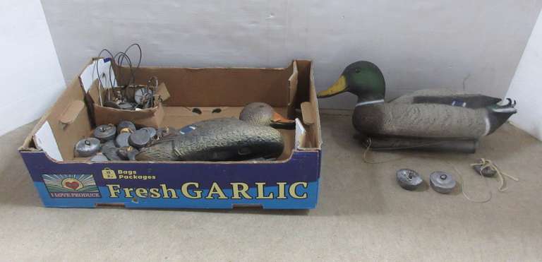 (2) Duck Decoys, Approx. (30) Decoy Weights, and Approx. 25 lbs. of Lead