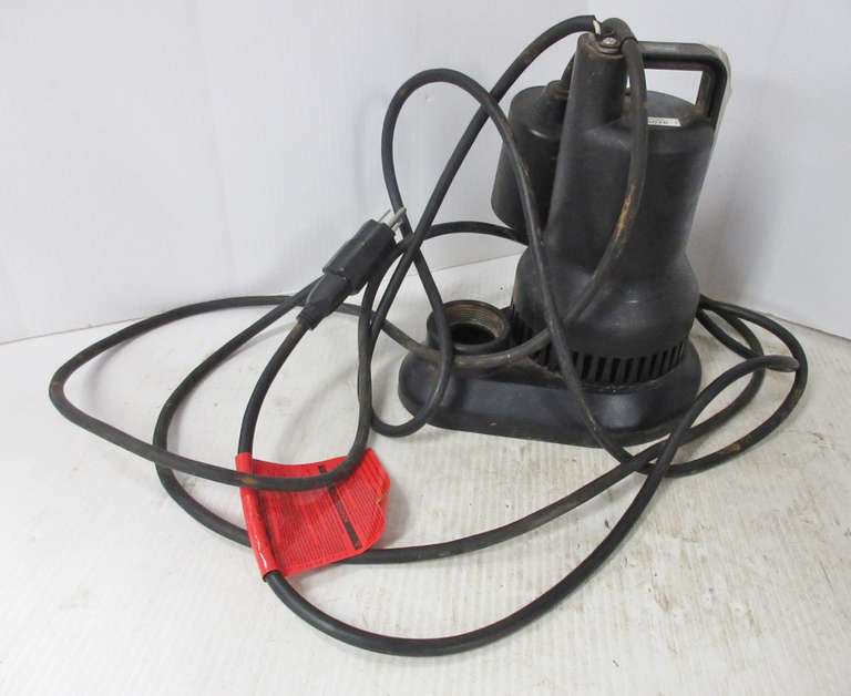 Wayne 1/3 HP Sump Pump